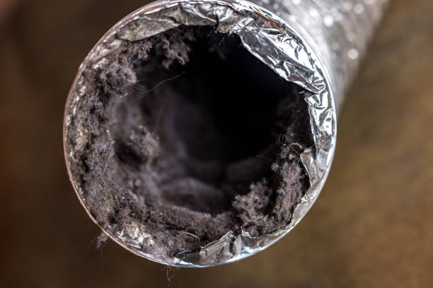 Best Duct Cleaning for Homes  in Houston, MS