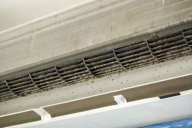 Best Emergency Air Duct Cleaning  in Houston, MS